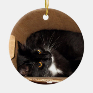 Adorno De Cerámica Gatito en una caja - fotografía
