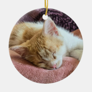 Adorno De Cerámica Gatito jengibre durmiendo