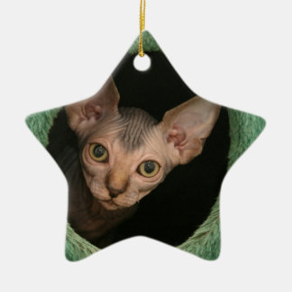 Adorno De Cerámica Gatito lindo del sphynx