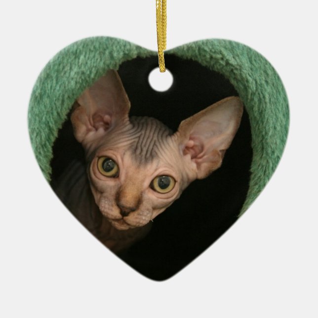 Adorno De Cerámica Gatito lindo del sphynx (Frente)