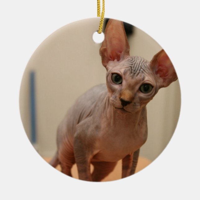 Adorno De Cerámica ¿Gatito lindo del sphynx "soy furless, es usted? " (Frente)