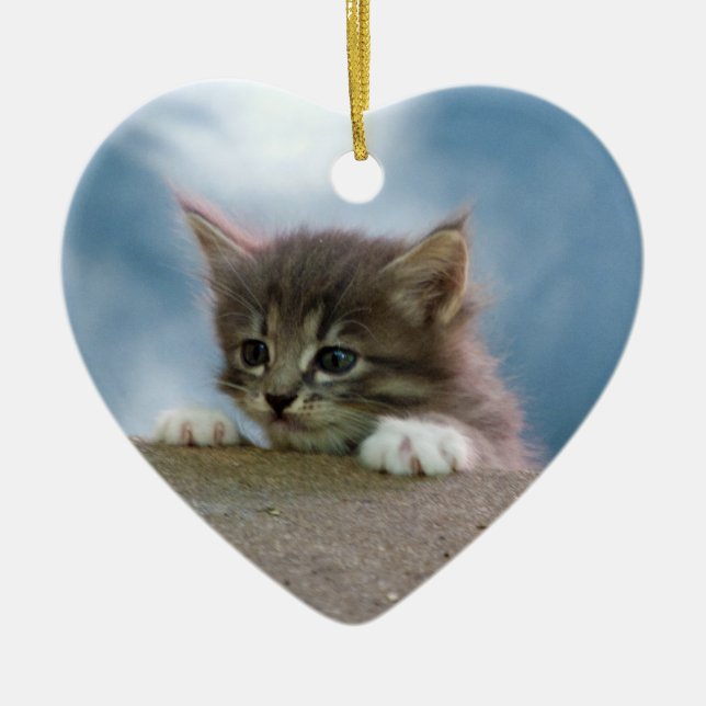 Adorno De Cerámica Gatito para el navidad (Frente)