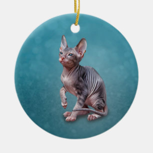 Adorno De Cerámica Gatito Sphynx plano