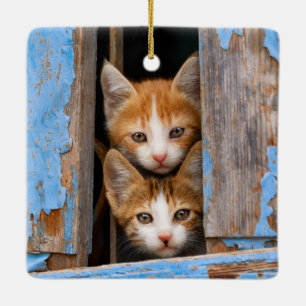 Adorno De Cerámica Gatitos cortos en una foto de la ventana azul de é