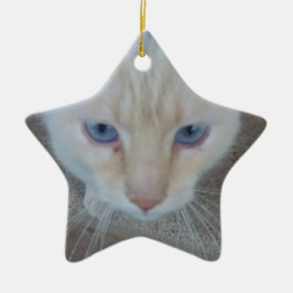 Adorno De Cerámica Gato