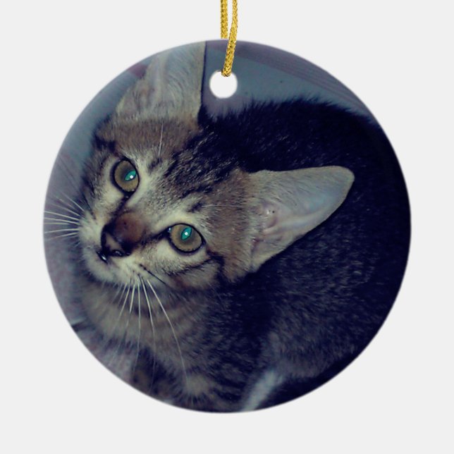 Adorno De Cerámica Gato (Frente)
