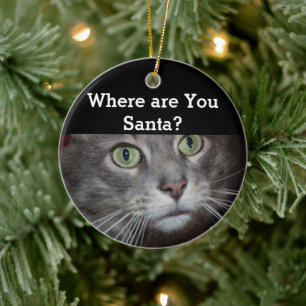 Adorno De Cerámica Gato