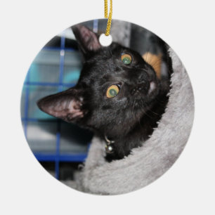 Adorno De Cerámica Gato
