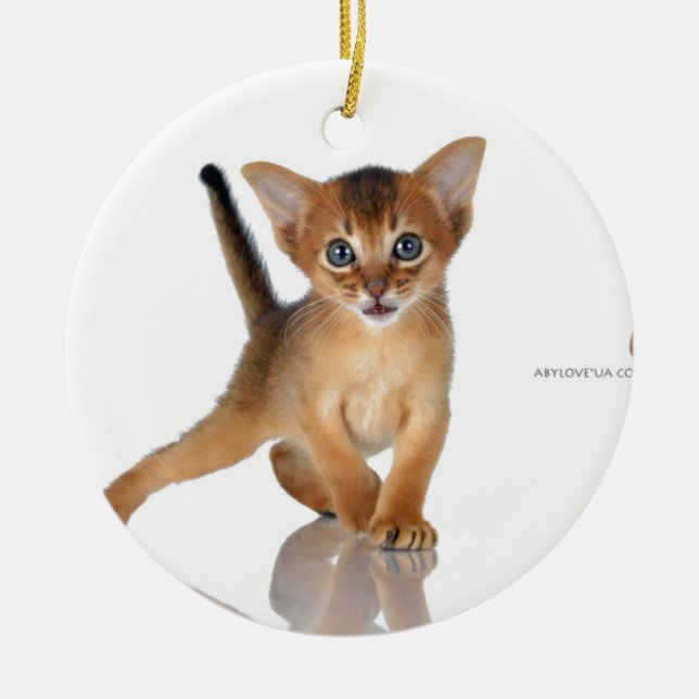 Adorno De Cerámica Gato abisinio (Frente)