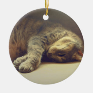 Adorno De Cerámica Gato adorable