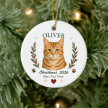 Gato Atigrado Naranja Personalizado Navidad