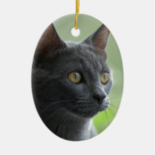 Adorno De Cerámica Gato azul ruso