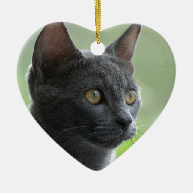 Adorno De Cerámica Gato azul ruso (Frente)