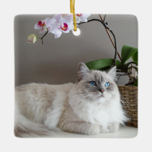 Adorno De Cerámica Gato balinés majestuoso