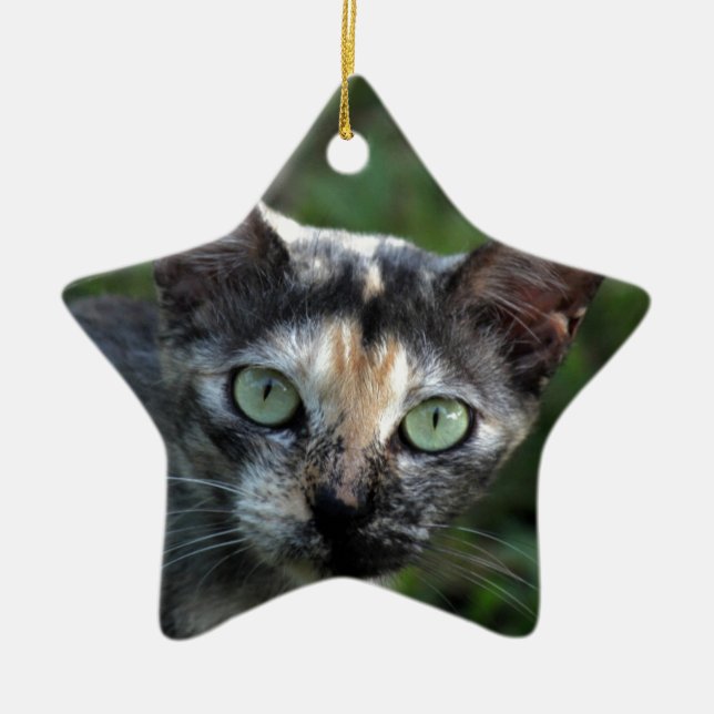 Adorno De Cerámica Gato blanco gris marrón con ojos verdes (Frente)