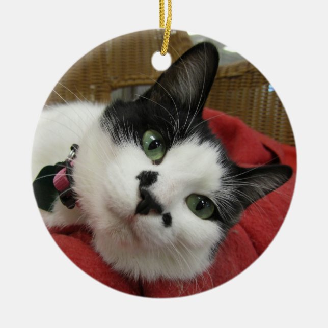 Adorno De Cerámica Gato blanco y negro (Frente)