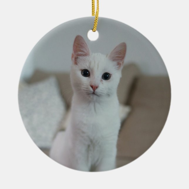 Adorno De Cerámica Gato blanco | Zazzle_Growshop. (Frente)