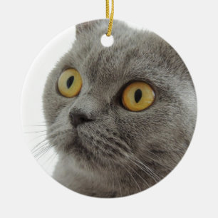 Adorno De Cerámica Gato británico lindo de Shorthair