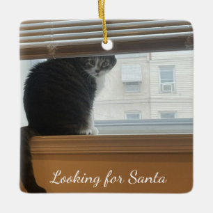 Adorno De Cerámica Gato buscando Santa Ornament