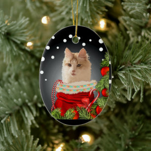 Adorno De Cerámica Gato de Angora