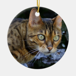 Adorno De Cerámica Gato de Bengala que se cuela