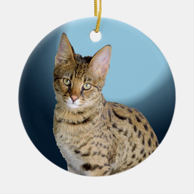 Adorno De Cerámica Gato de la sabana (Frente)