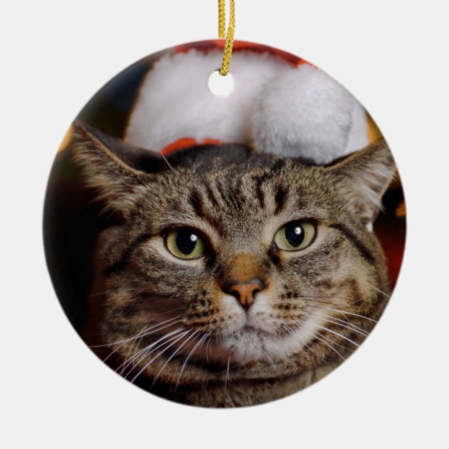 Adorno De Cerámica Gato de navidades (Frente)