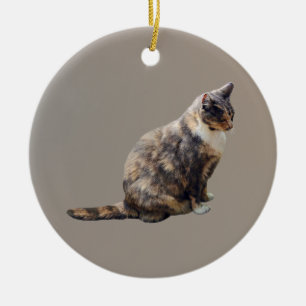 Adorno De Cerámica Gato de Tabby en tonos marrones