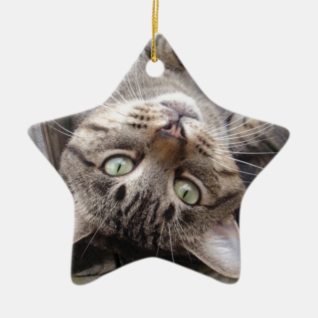 Adorno De Cerámica Gato de Tabby salvaje rayado juguetón (Frente)