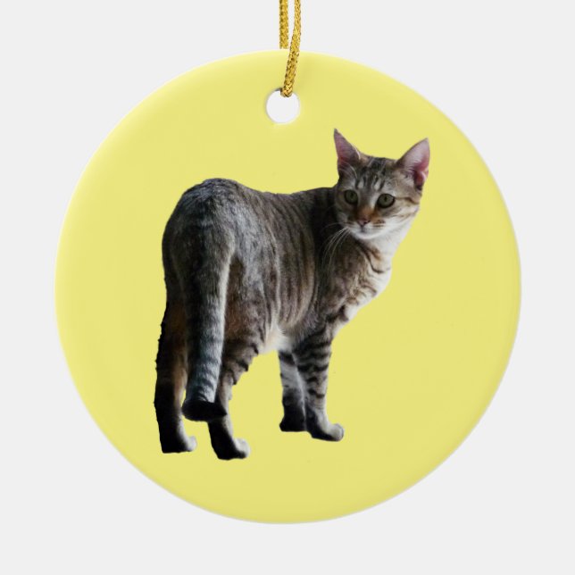 Adorno De Cerámica Gato de tabla (Frente)