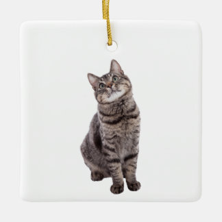 Adorno De Cerámica Gato de tabla de corte