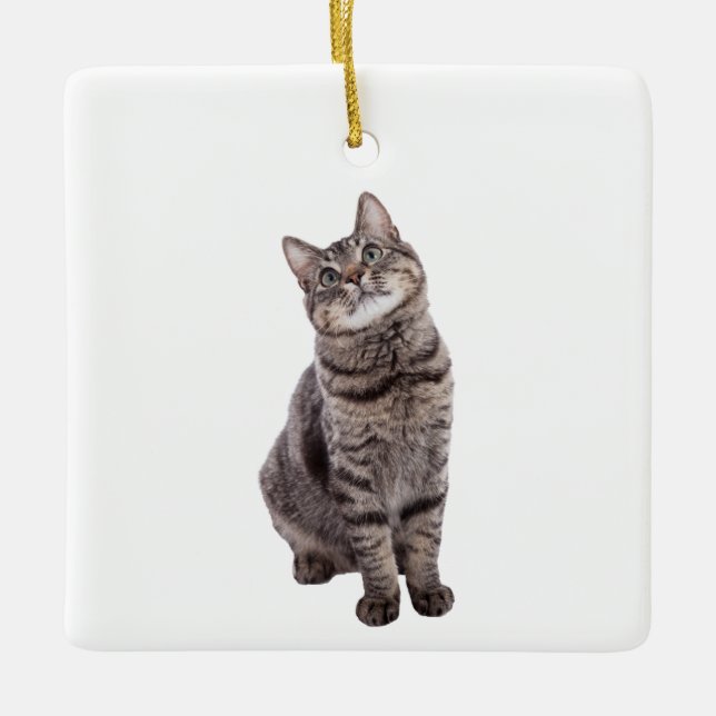 Adorno De Cerámica Gato de tabla de corte (Anverso)