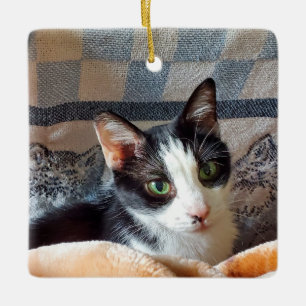 Adorno De Cerámica Gato de Tuxedo