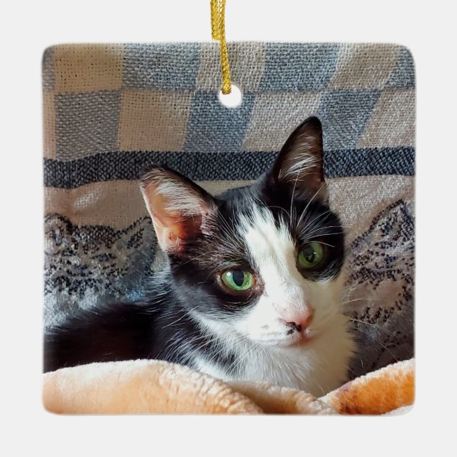 Adorno De Cerámica Gato de Tuxedo (Anverso)
