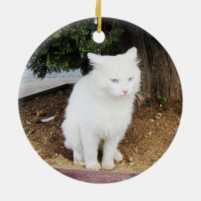 Adorno De Cerámica Gato defecando (Atrás)