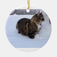 gato del bosque noruego en la nieve