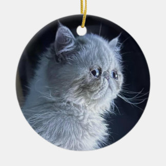 Adorno De Cerámica Gato del Himalaya