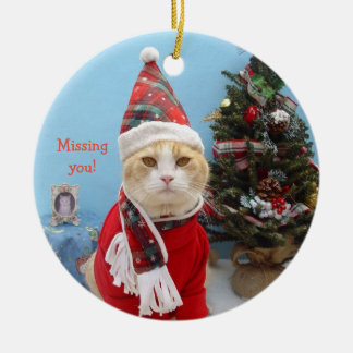 Adorno De Cerámica ¡Gato divertido del navidad "que le falta! "