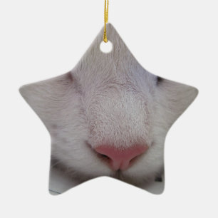 Adorno De Cerámica Gato durmiente