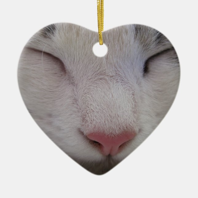 Adorno De Cerámica Gato durmiente (Frente)