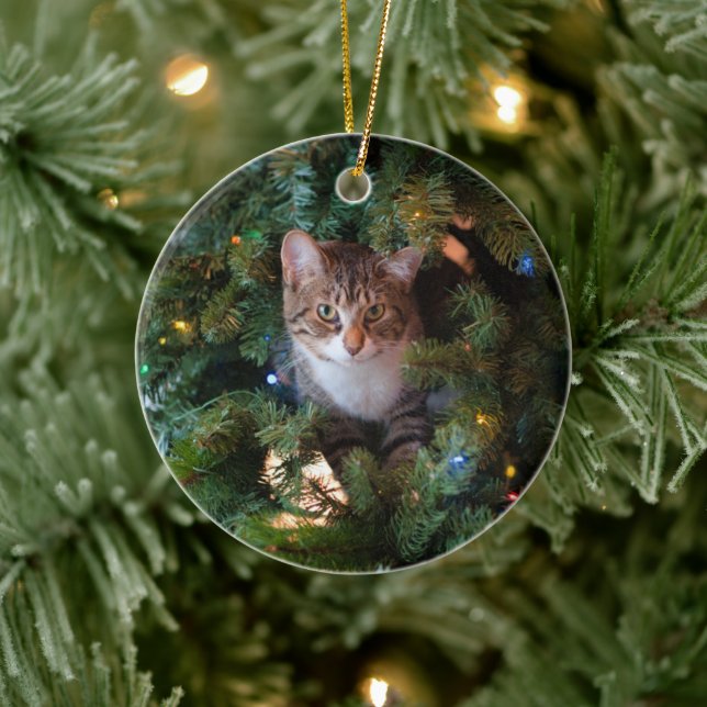 Adorno De Cerámica Gato en el árbol de Navidad (Árbol)