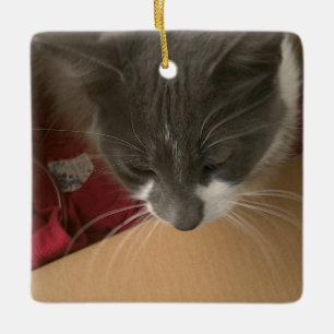 Adorno De Cerámica Gato en la caja