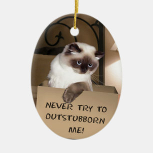 Adorno De Cerámica Gato en la caja Himalayan