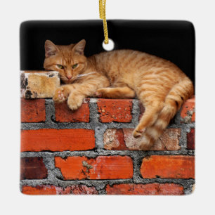 Adorno De Cerámica Gato en la pared de ladrillo
