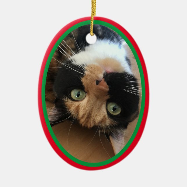 Adorno De Cerámica Gato En Memoria De Los Navidades Fiesta Verde Rojo (Frente)