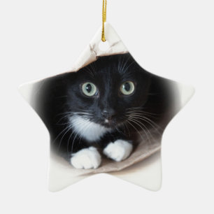 Adorno De Cerámica Gato en un bolso