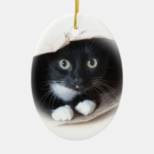 Adorno De Cerámica Gato en un bolso