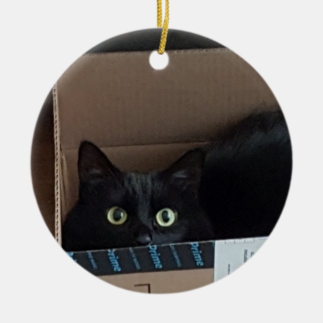 Adorno De Cerámica Gato en una caja (Frente)