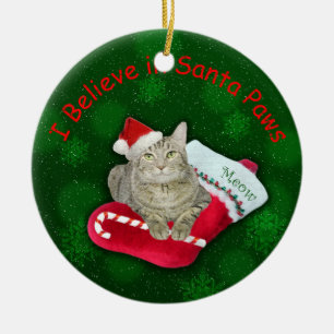 Adorno De Cerámica Gato esperando a Santa