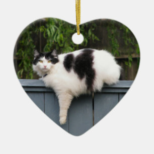 Adorno De Cerámica Gato gordo en la cerca